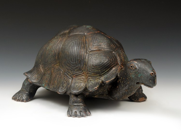 turtle_1